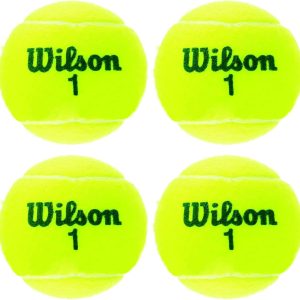 Wilson Champ Extra Duty Tennis Balls