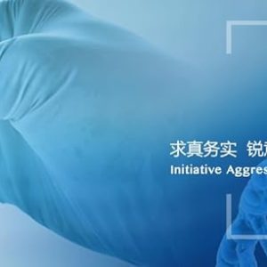 Food Grade Zinc Lactate 1000g