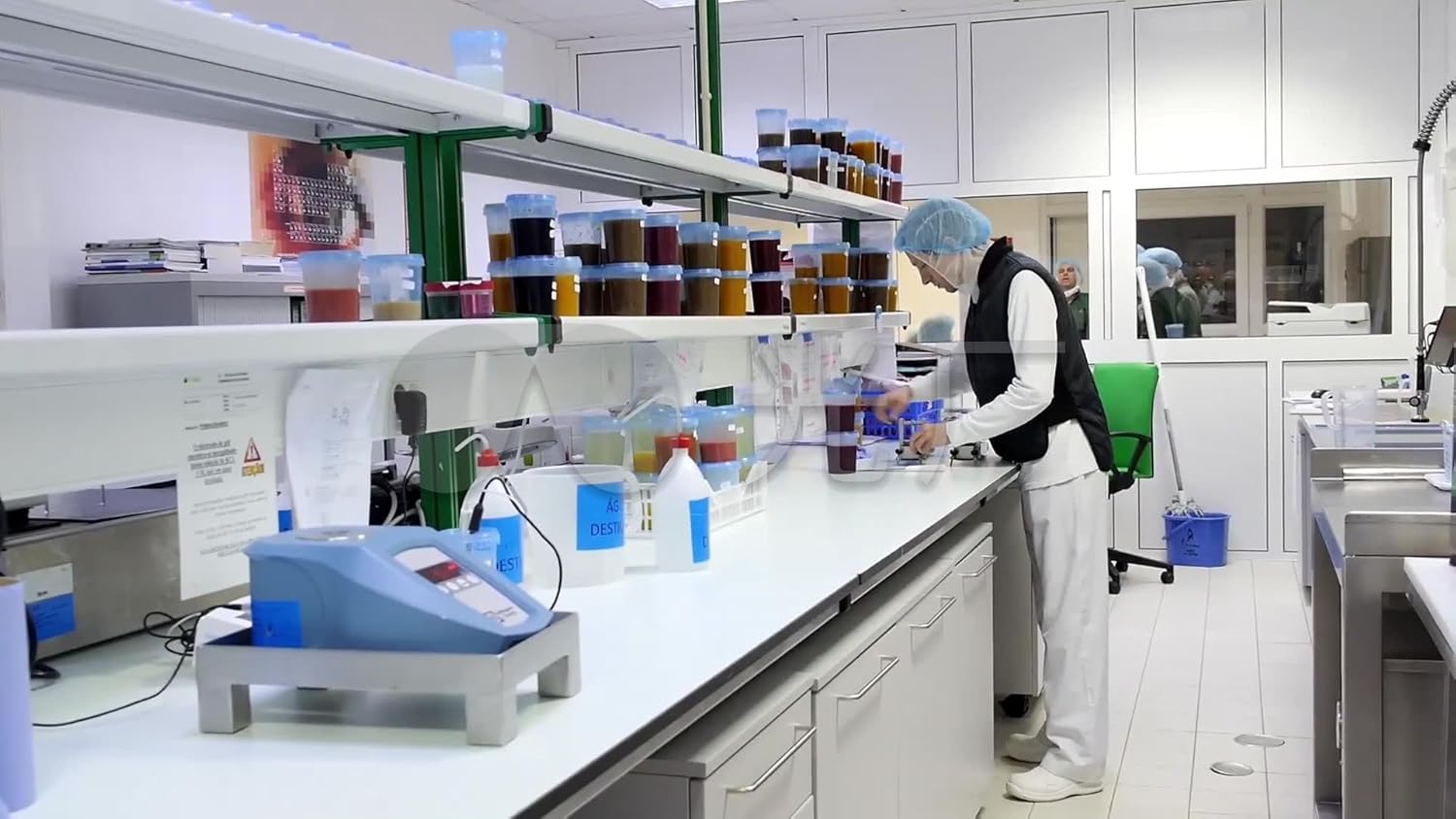 Creatine alpha-ketoglutarate, 99.0%, 500 g - Image 2