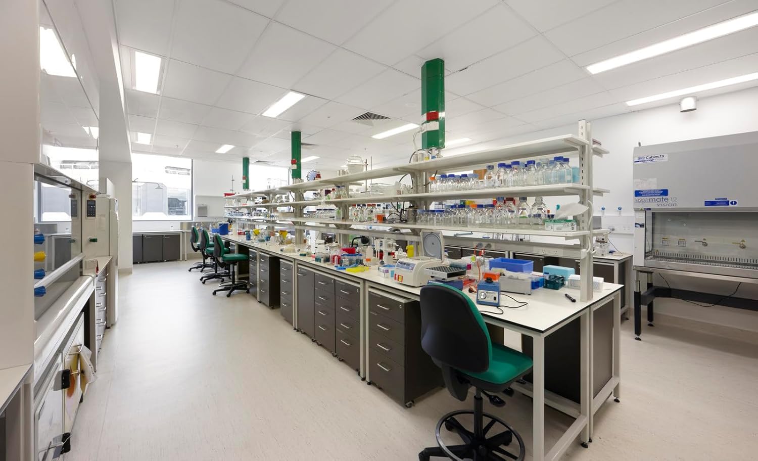 Creatine alpha-ketoglutarate, 99.0%, 500 g - Image 4