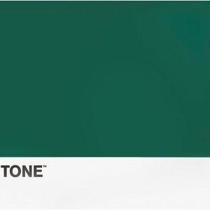 Pantone Plastic Placemats, 1 Piece Rectangular Waterproof, Non-slip Placemats – Small Stain-Resistant Table Mats, 45 x 30 cm, Hand Washable and Space-Saving