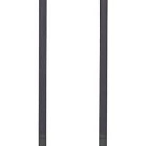 Black Diamond Alpine Carbon Cork Trekking Poles