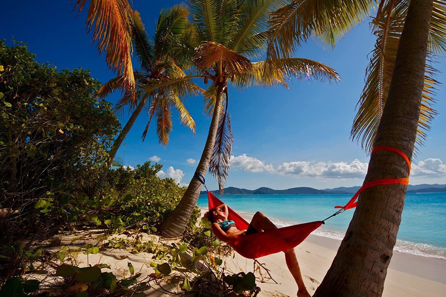 ENO, Eagles Nest Outfitters SingleNest Lightweight Camping Hammock, Berry/Plum - Image 7