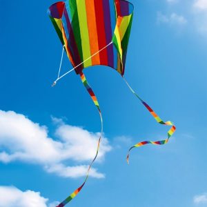 1 x Kids Kite Rainbow Kite Pocket Long Tail Colorful Kite String Kite Beach Game Suitable for Outdoor Activities for Kids