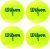 Wilson Champ Extra Duty Tennis Balls